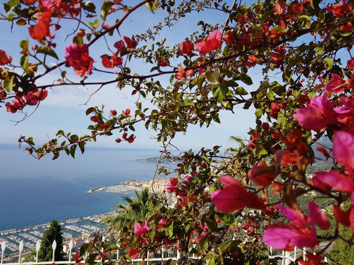 Olguita Ξενοδοχείο Μεντόν Εξωτερικό φωτογραφία
